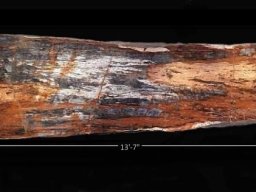 Petrified Wood Rainbow table 2. Gem-Grade Rainbow table.